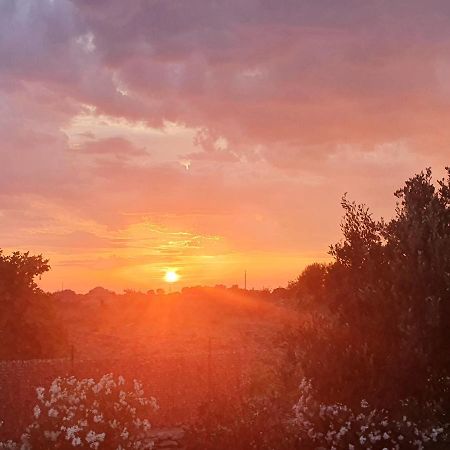 Le Anfore Del Salento มารีนา ดี ลิซซาโน ภายนอก รูปภาพ