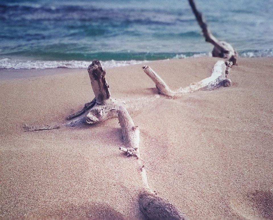 Le Anfore Del Salento มารีนา ดี ลิซซาโน ภายนอก รูปภาพ